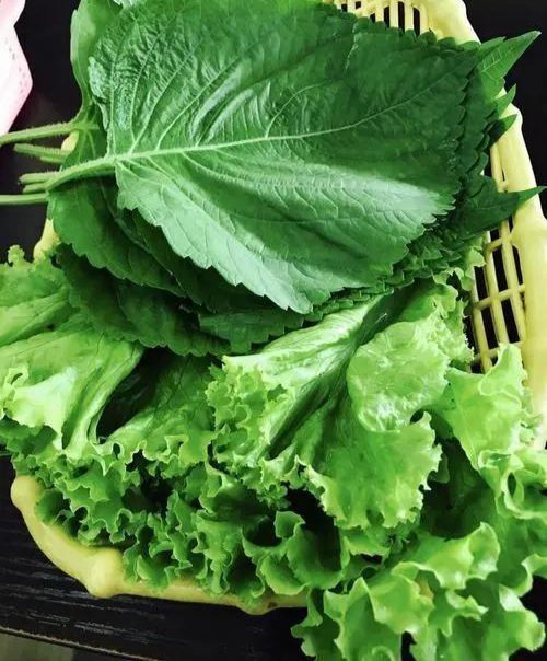 生菜苏子叶拼盘图片