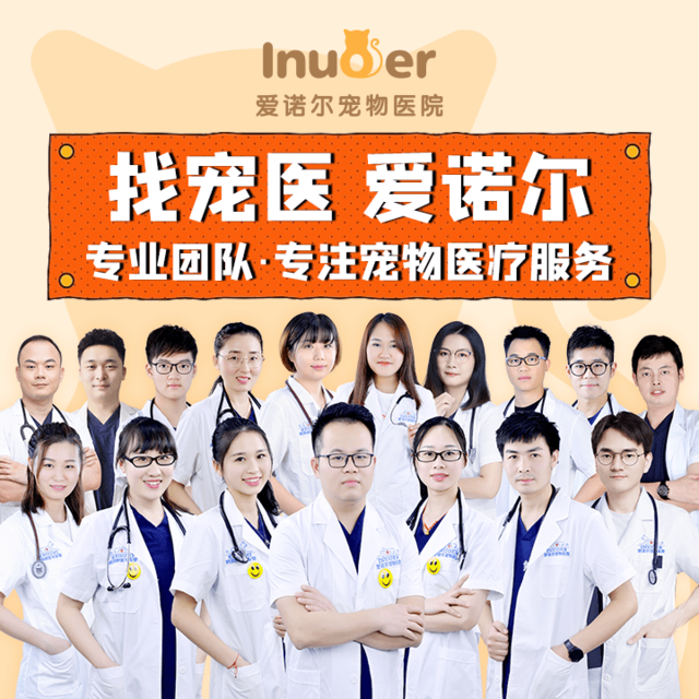 爱诺尔宠物诊所图片