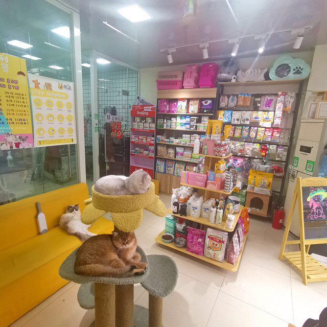 都市之精灵宠物店