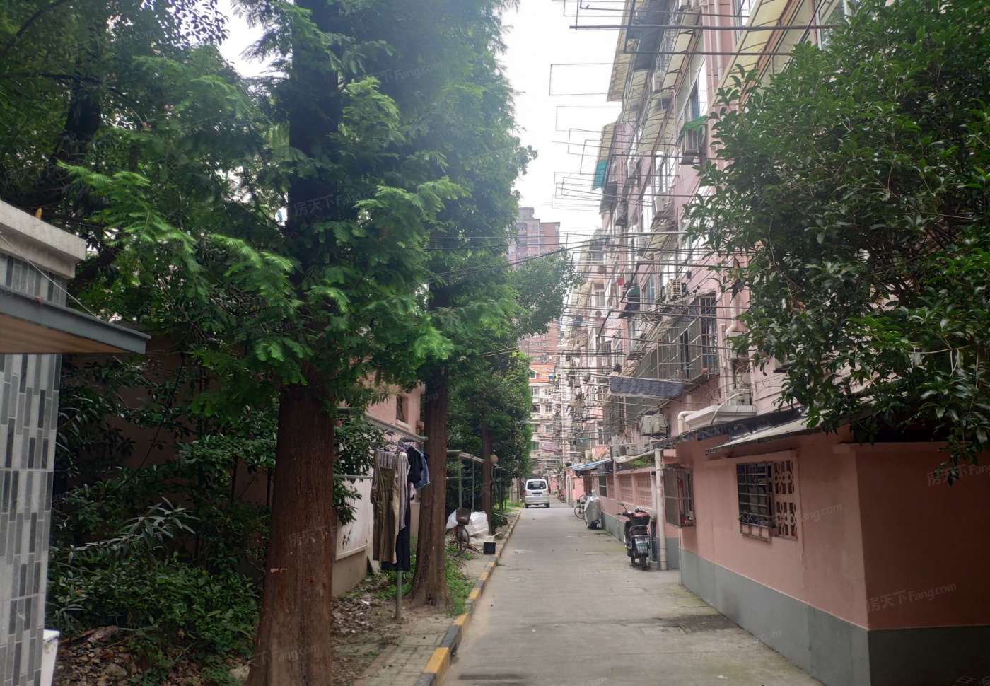 天山二村(茅台路)图片