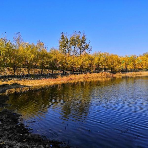 【鄭州市西流湖公園】鄭州市西流湖公園門票,鄭州市西流湖公園遊玩