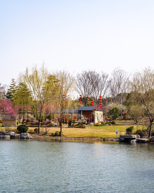 莘庄梅园&nbsp;图片