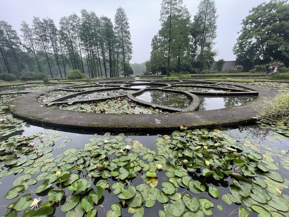 中國科學院武漢植物園-沉水植物區圖片