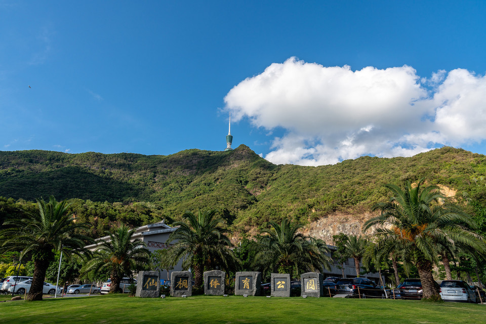 仙桐体育公园图片