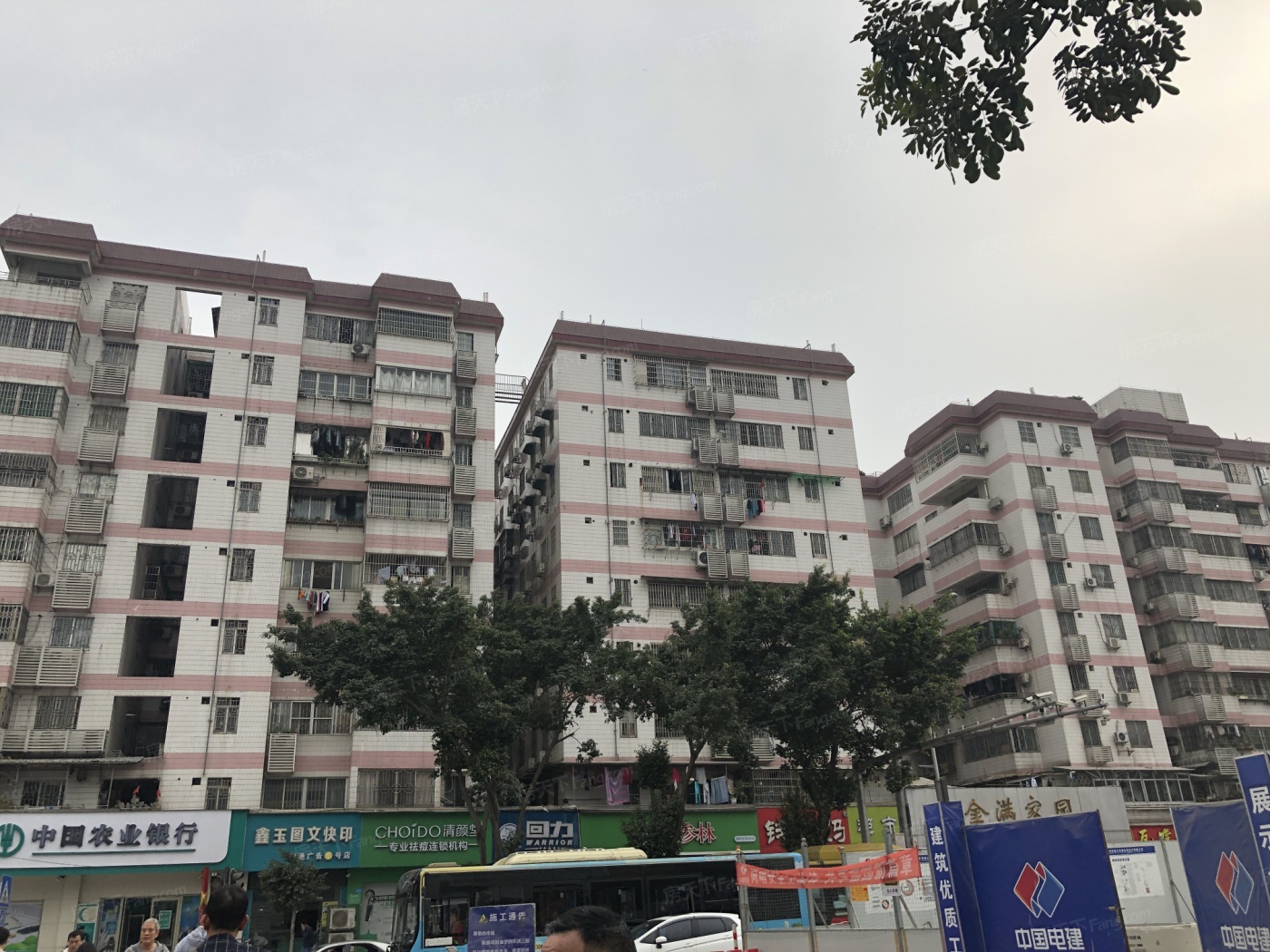 金满家园(城西花园西南)图片