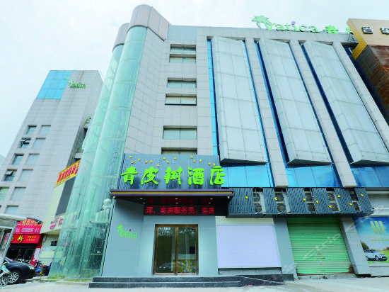 青皮树酒店(南昌青山湖万达广场店)图片