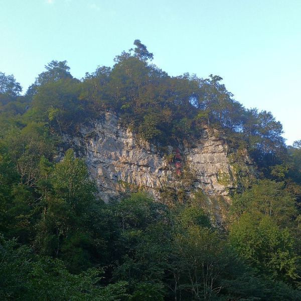 携程用户:五马朝天近茨坪,古道古桥胜似景