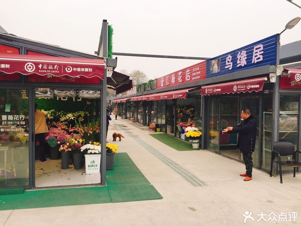 武汉市和平公园花鸟市场图片