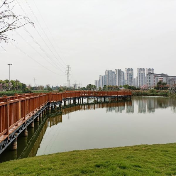 海灣溼地生態公園