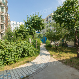 在哪,在哪里,在哪儿):银川市兴庆区永康北巷122号电话:银河家园-二区