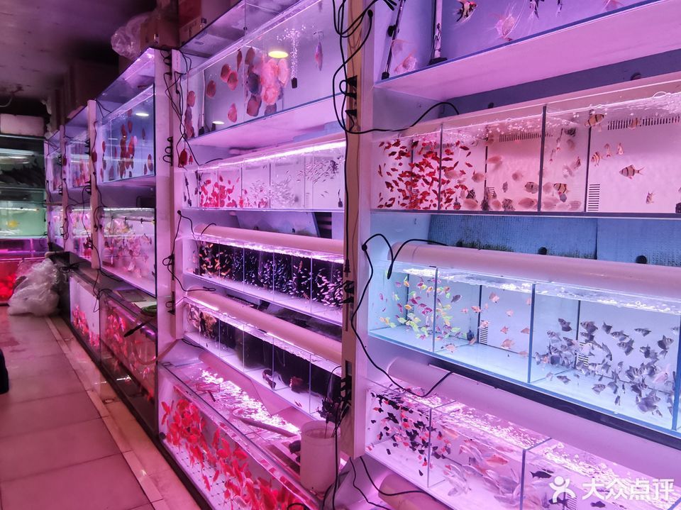 怎么去,怎么走,在哪,在哪里,在哪儿):北京市朝阳区河天骄文化城水族西