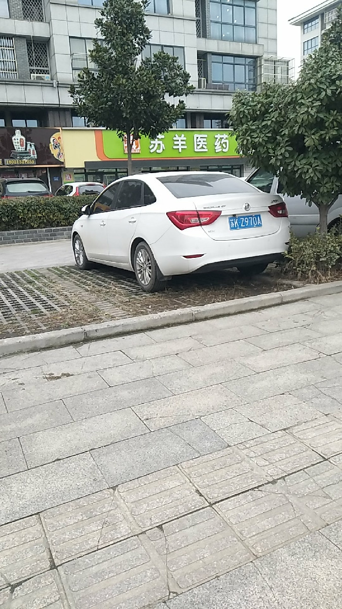 苏羊医药念(香苑店)图片