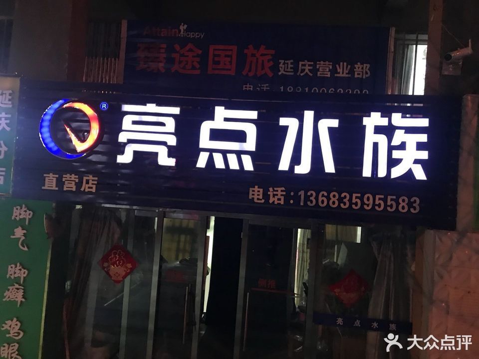 亮点水族直营店图片