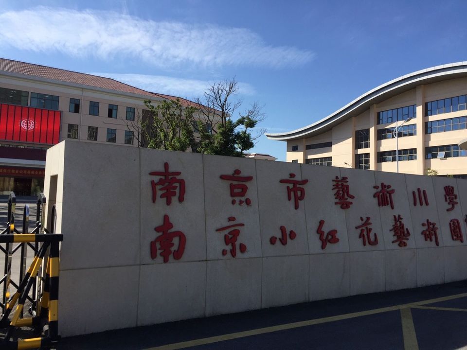 南京小红花艺术团图片