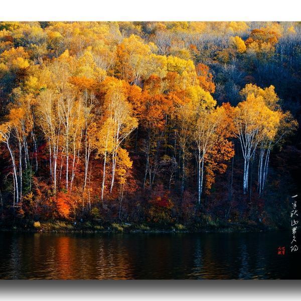 秋山风景区图片