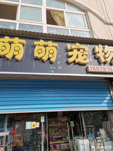 萌萌宠物图片