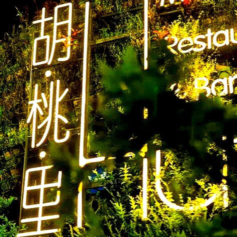 胡桃里音乐酒馆(济南高新店)图片