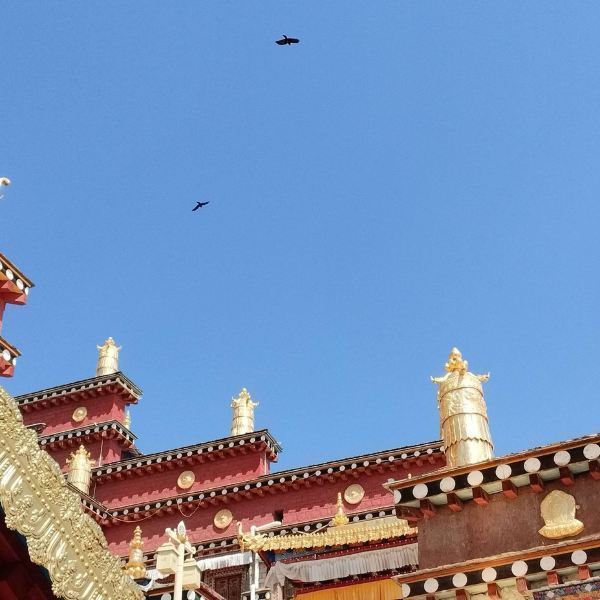 寺庙建筑可以拍吗 t01714cbb9e870e8794.jpg