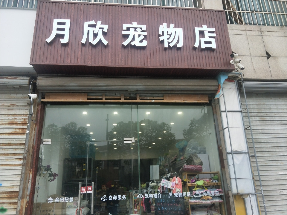 月欣宠物店(庆丰东路景枫嘉苑店)图片