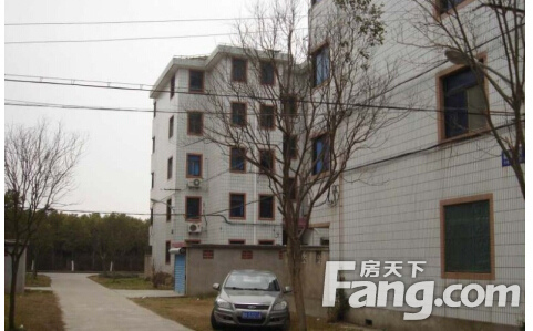 上海市芦潮港农场新村