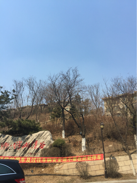 大德·伴山溪谷图片