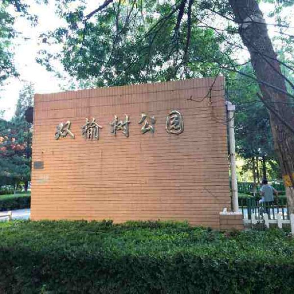双榆树公园图片