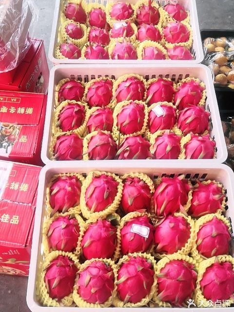 红肉火龙果图片