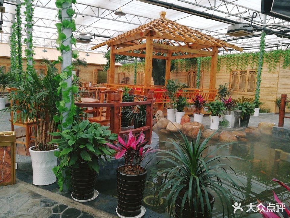 杭州湾雨轩果蔬农场图片