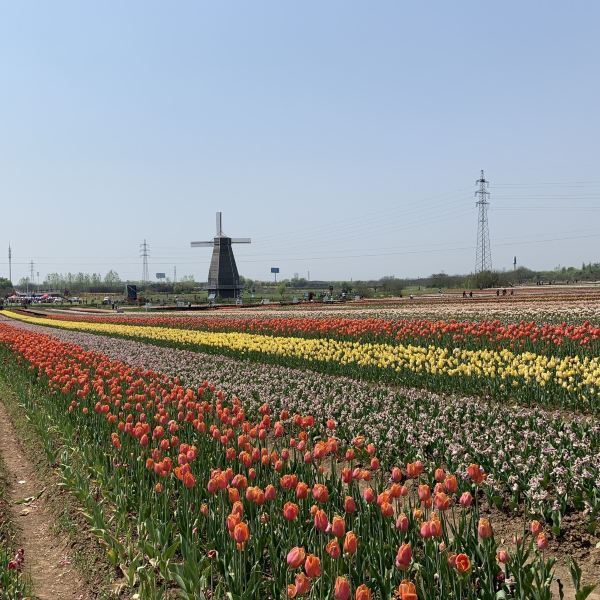 岩藤农场图片