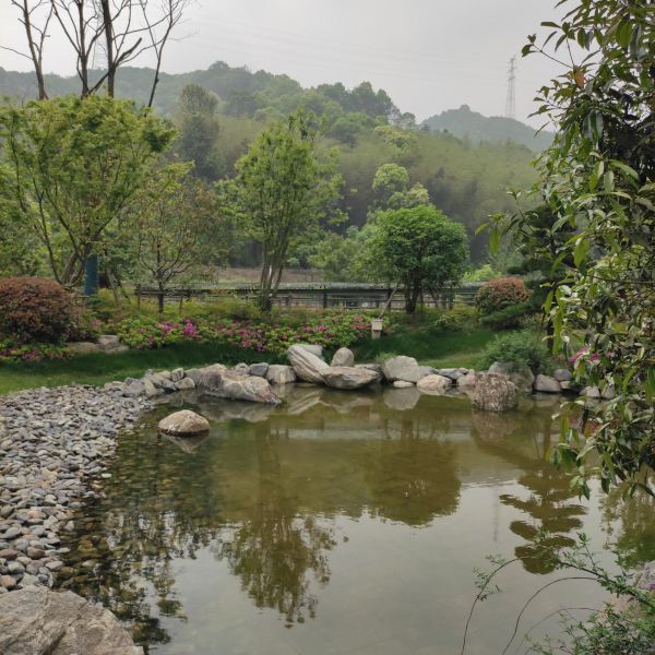 西湖大清谷图片