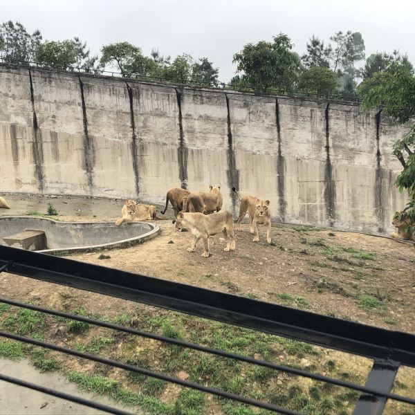 川東生態動物園