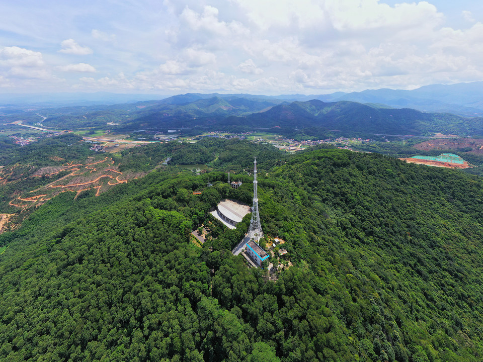 蕉石岭森林公园图片