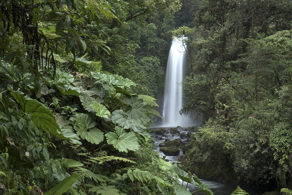 跨国瀑布在哪 t017c317d229a4188e6.jpg