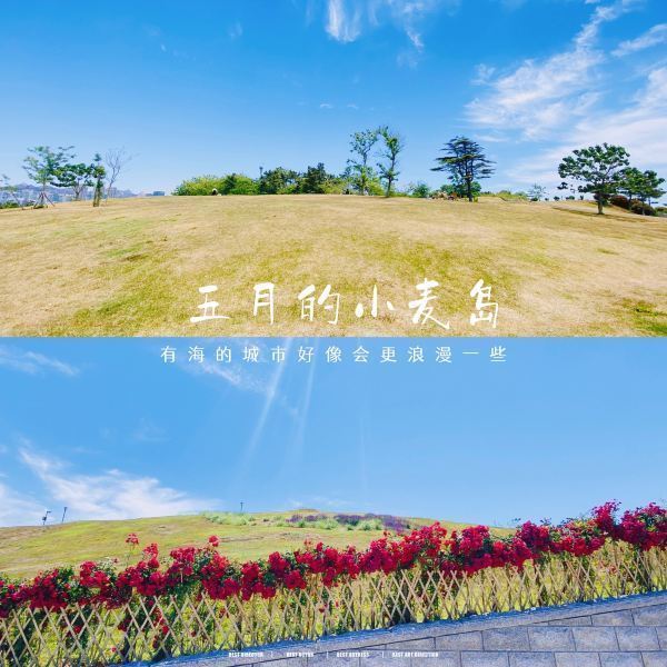 【小麦岛公园】小麦岛公园门票,小麦岛公园游玩攻略_360地图