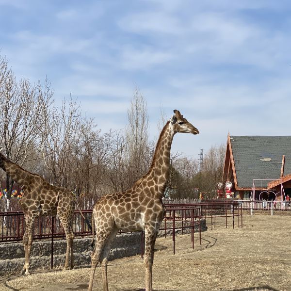 龍沙動植物園圖片