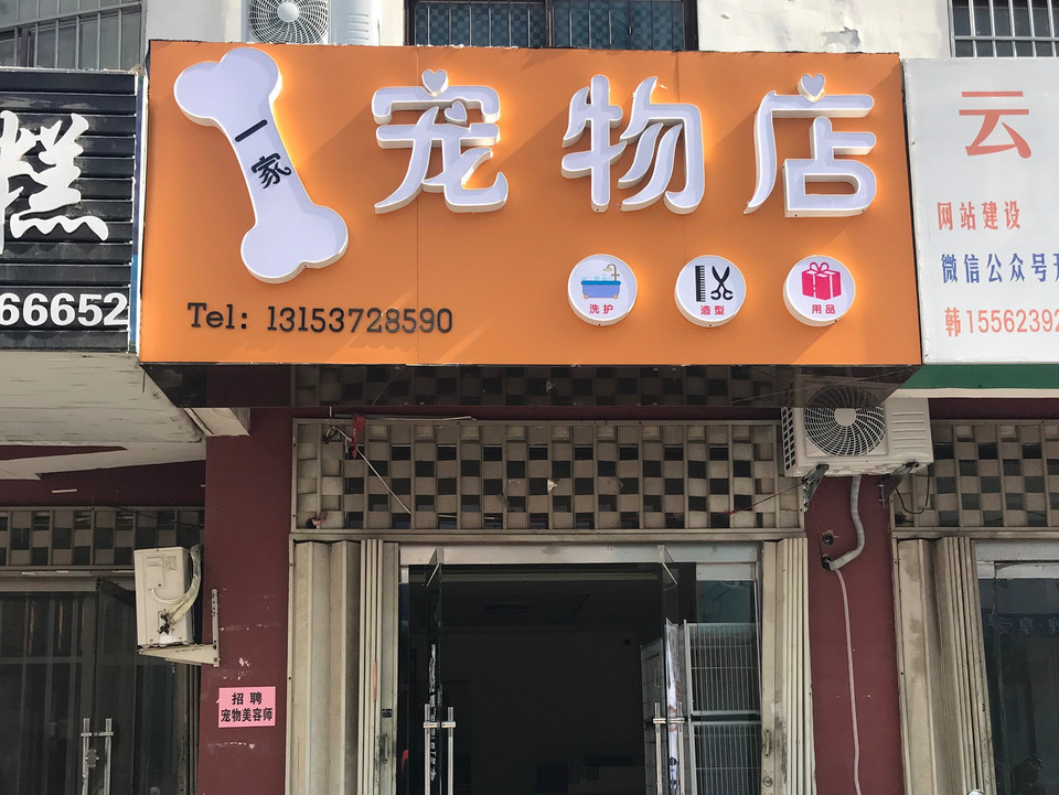 一家宠物店图片