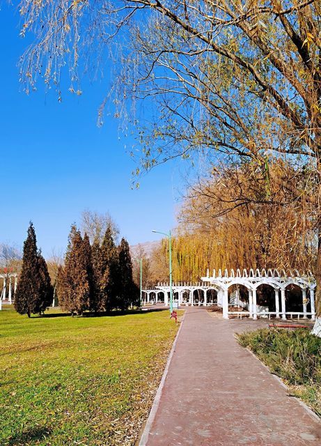 大武口森林公园地址(位置,怎么去,怎么走,在哪,在哪里,在哪儿):石嘴山