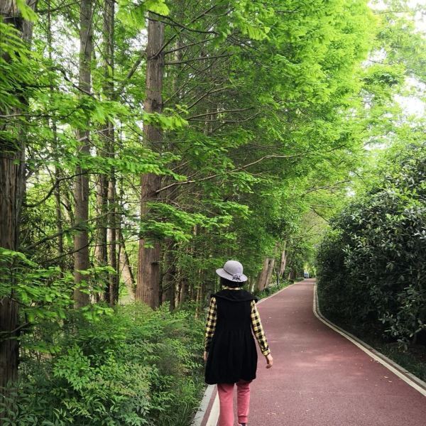 温江区田园绿道图片