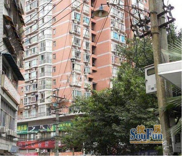 奥林娇子图片