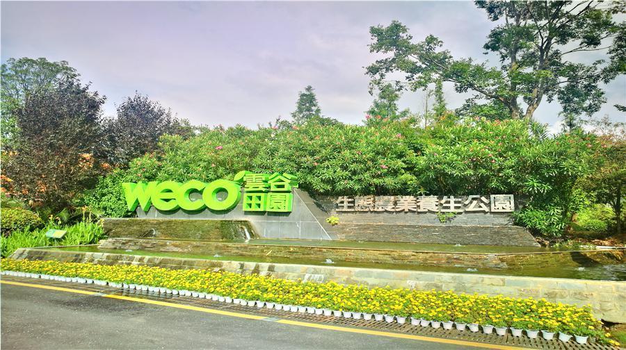 云谷田园生态农业观光公园图片