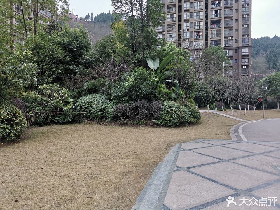 侨城·御景展示中心图片