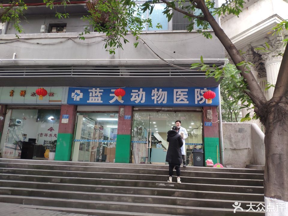 蓝天动物医院图片