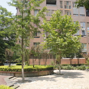 瑞湾花园社区地址(位置,怎么去,怎么走,在哪,在哪里,在哪儿):天津市