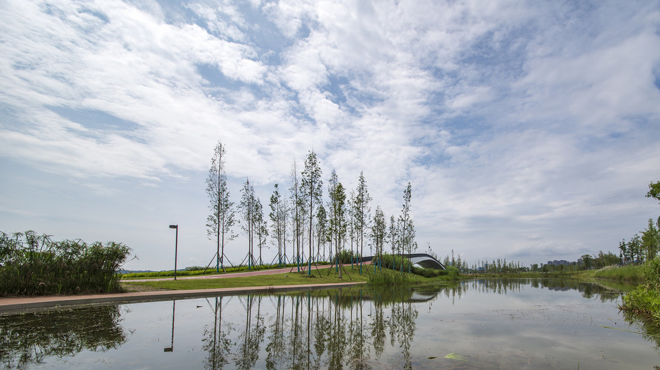 安靖湖生态湿地公园