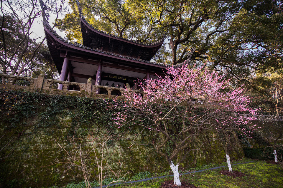 怎麼去,怎麼走,在哪,在哪裡,在哪兒):杭州市西湖區西湖街道孤山公園