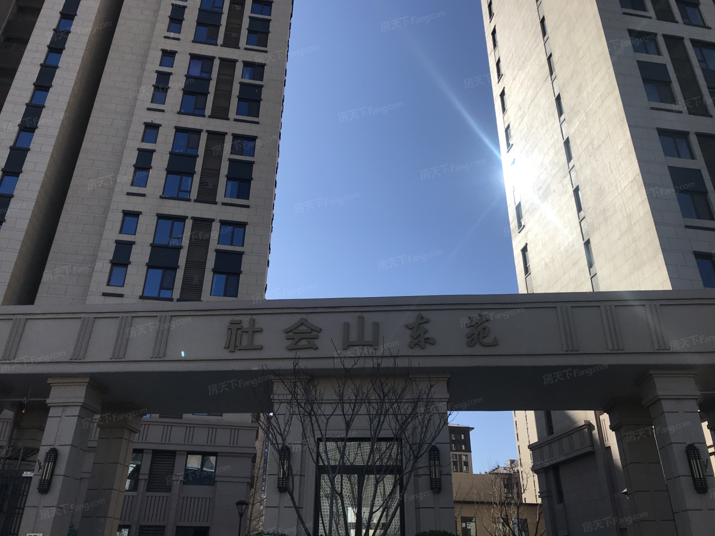 社会山东苑图片