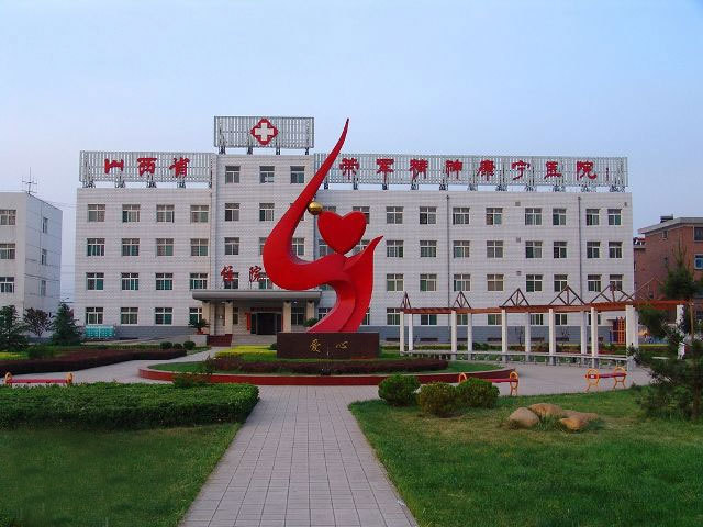 山西省荣军康宁医院