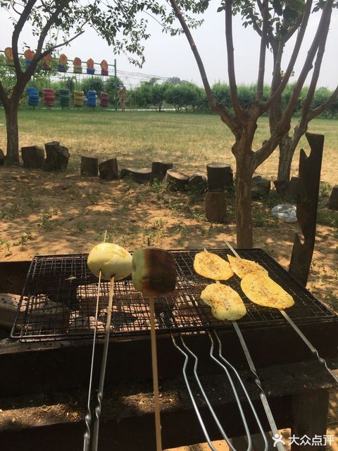 金农湾体验式休闲农场