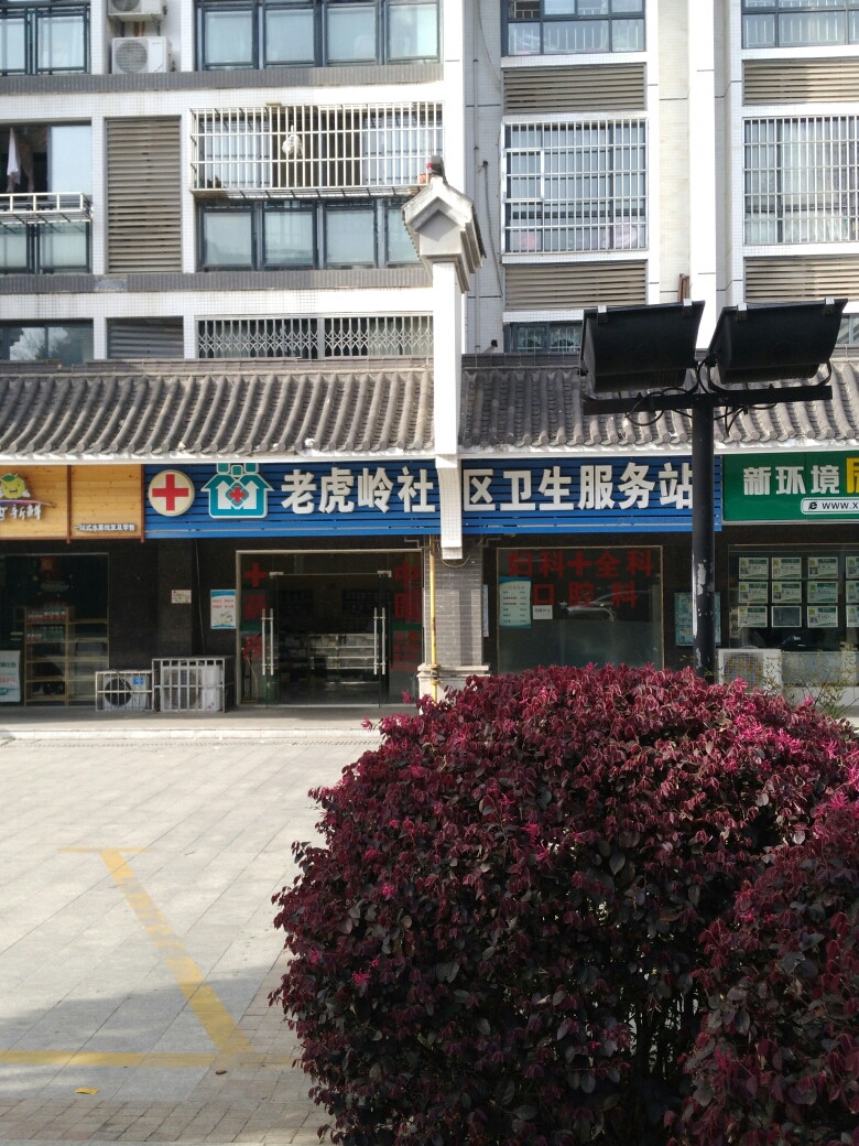 (位置,怎么去,怎么走,在哪,在哪里,在哪儿:长沙市岳麓区老虎岭公园