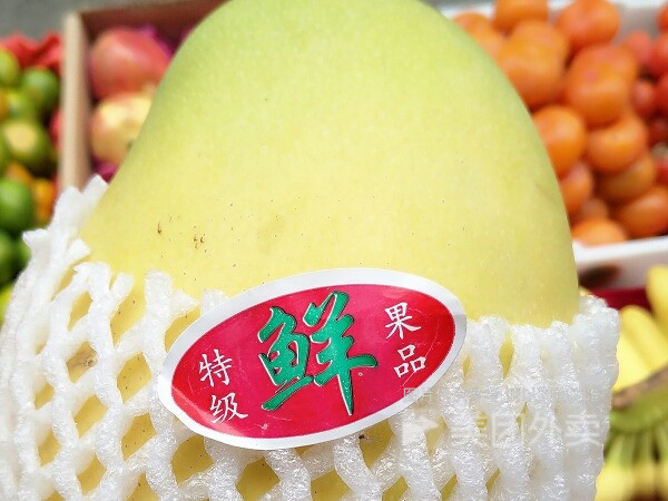 综合市场购物果品市场农副产品市场超市商铺介绍:地址(在哪里):农夫